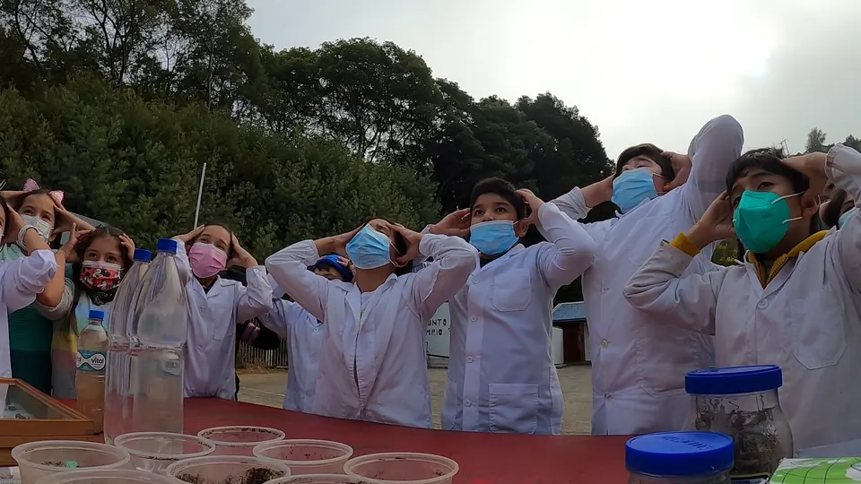 Actividad escolar de laboratorio al aire libre