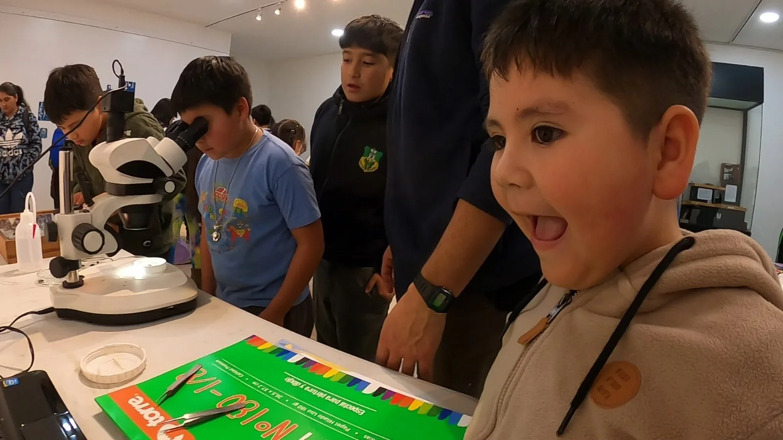 Niñas y niños observan insectos con estereomicroscopios