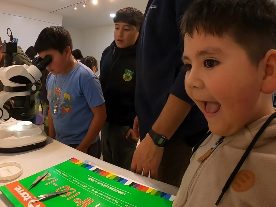 Niñas y niños observan insectos con estereomicroscopios durante un taller