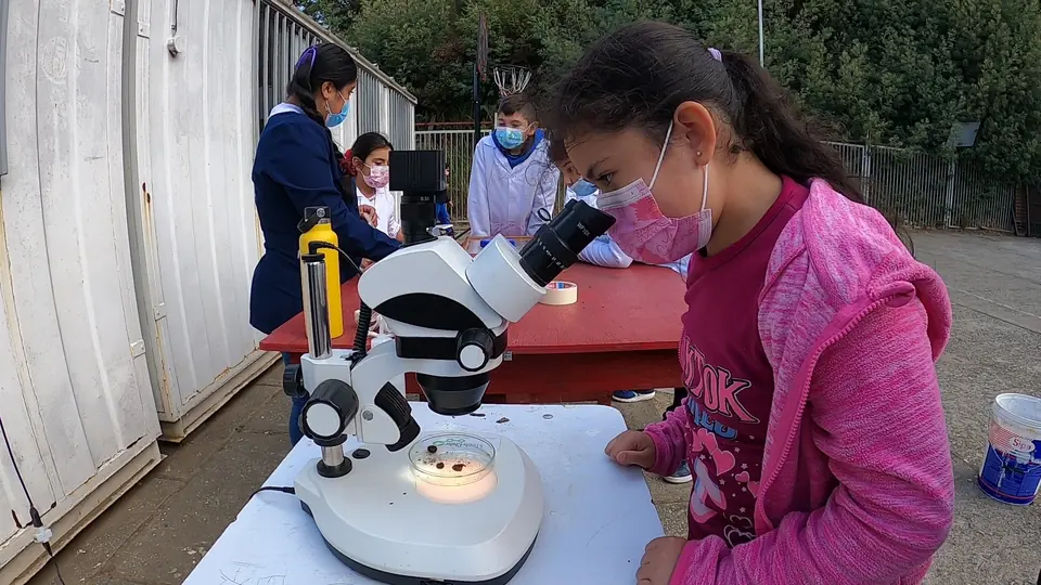 Estudiante observando una muestra con microscopio