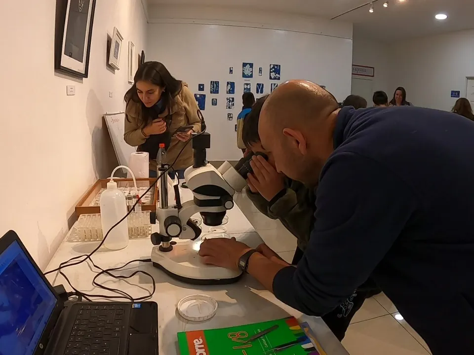 Observación guiada de insectos con estereomicroscopio durante una actividad familiar