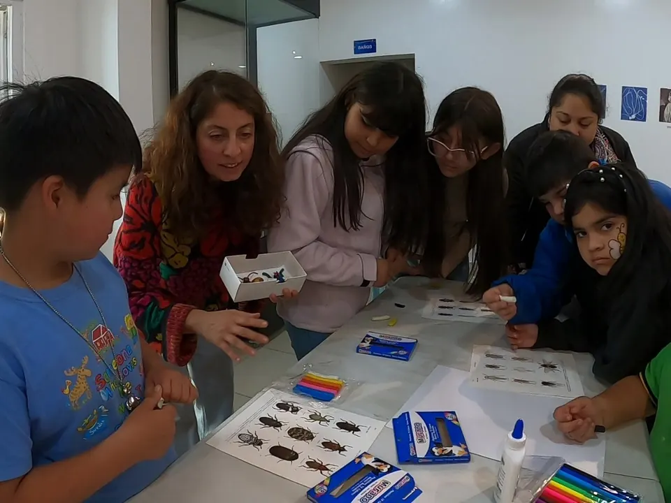 Niñas y niños participan en una actividad de modelado y reconocimiento de insectos