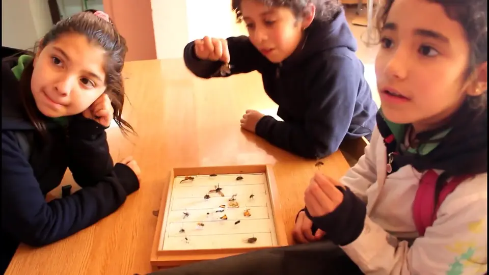 Taller práctico de identificación de especies