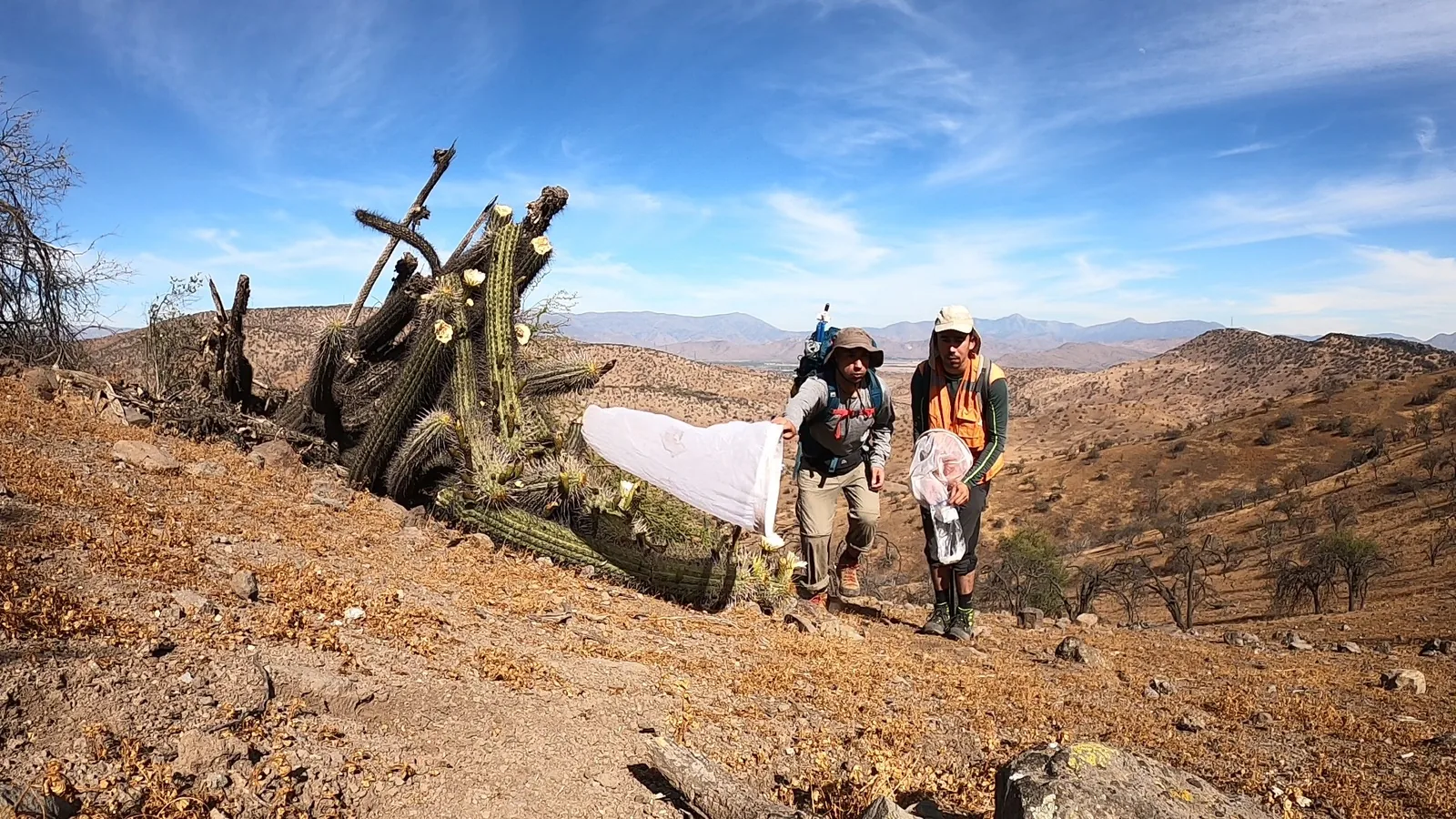 Equipo realizando trabajo de campo en un ecosistema desértico